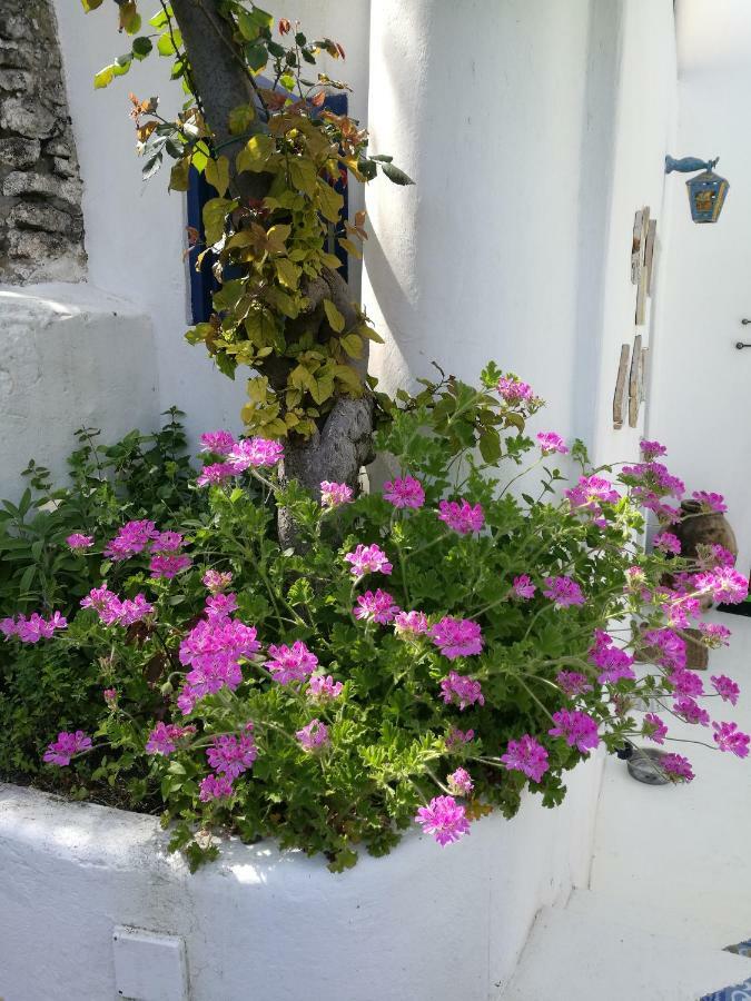 La Rosamarina Hotel Stromboli Exterior foto